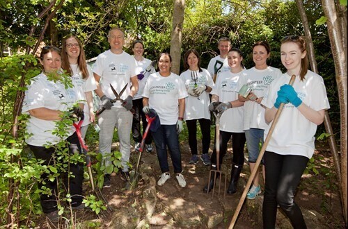 Group of people holding gardening tools